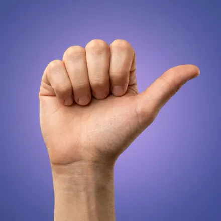 Configuração de mão da letra selecionada em Libras